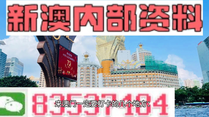 2024-2025年今晚新澳256期资料,最佳精选解释落实