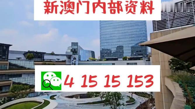 新澳门内部一码精准公开,精选资料解析大全