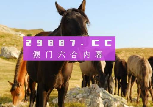 澳门管家婆一肖一码100%精准,精选资料解析大全