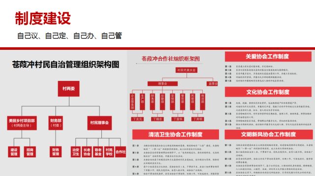 新澳门精准精准龙门,精选解释解析落实