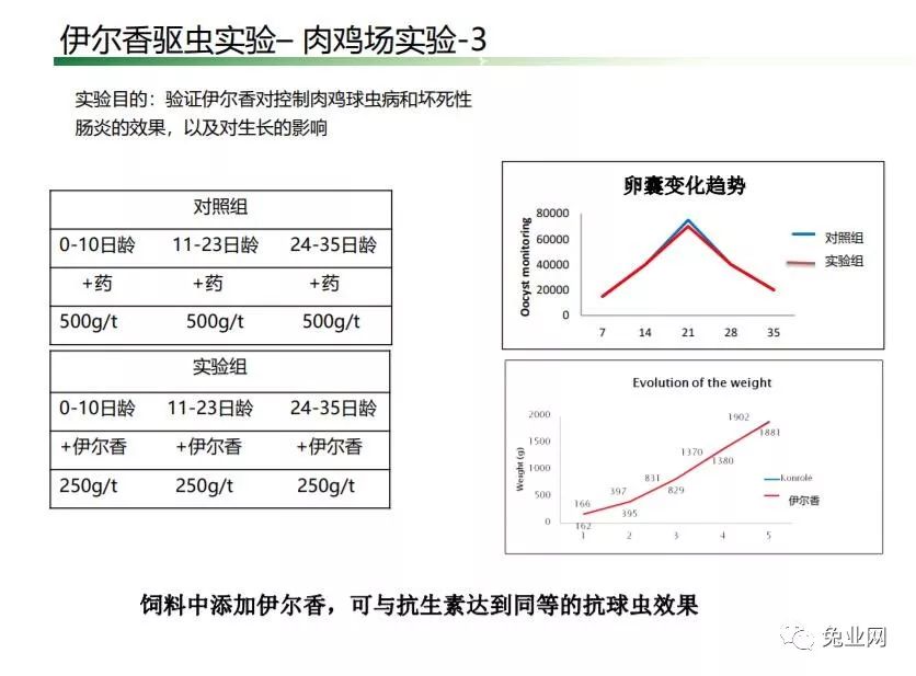 探索最新球虫药，疗效、安全性与未来展望