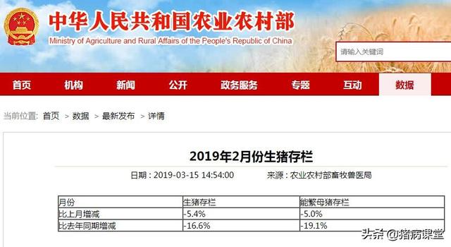 广西猪价今日动态，市场行情与趋势分析