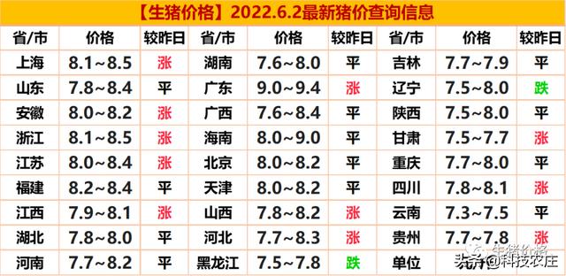 东北今日猪价最新动态