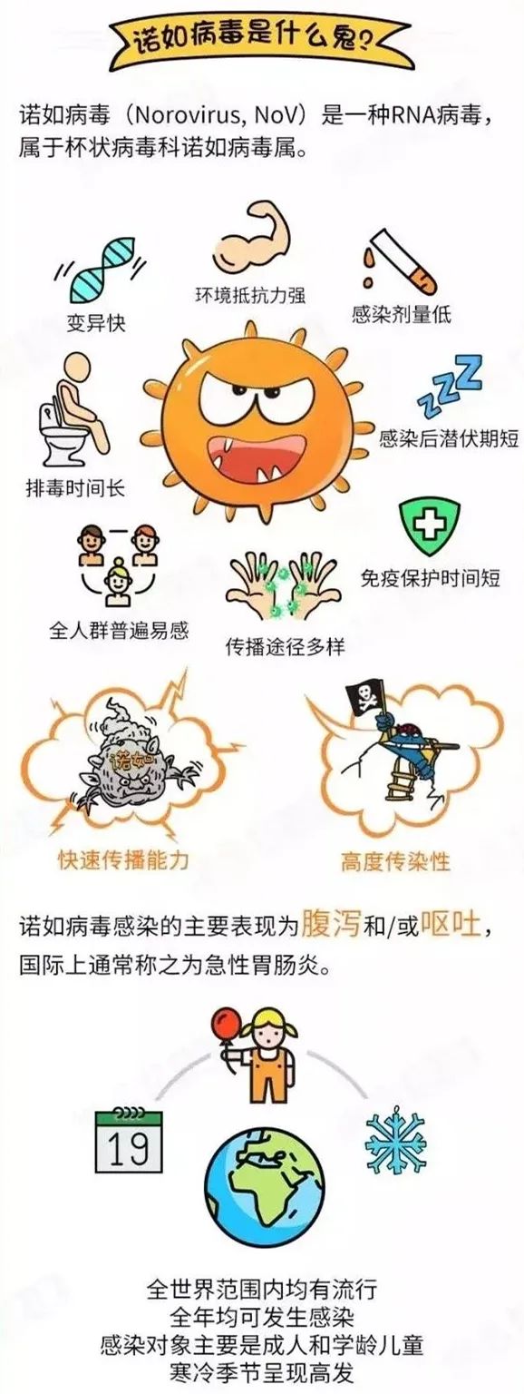 诺如病毒最新感染，疫情现状与防控策略