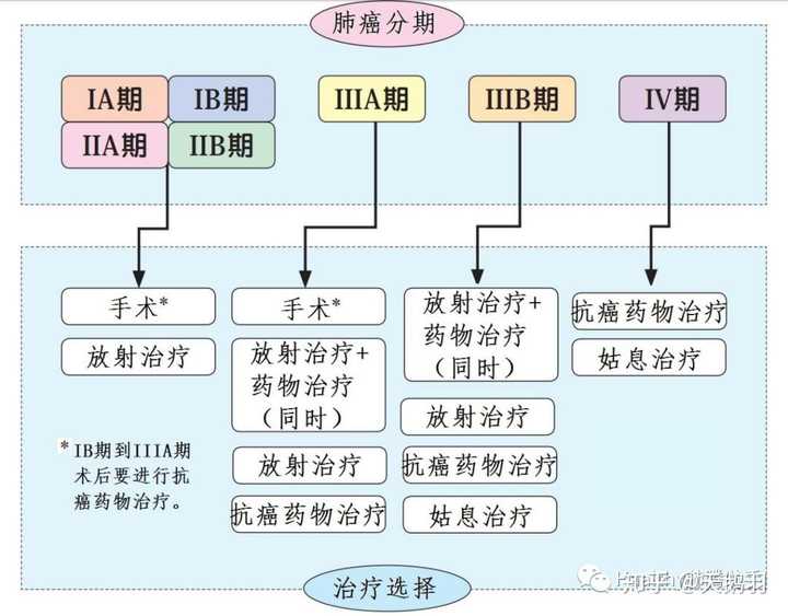 肺癌最新病理分型，深入解析与临床意义