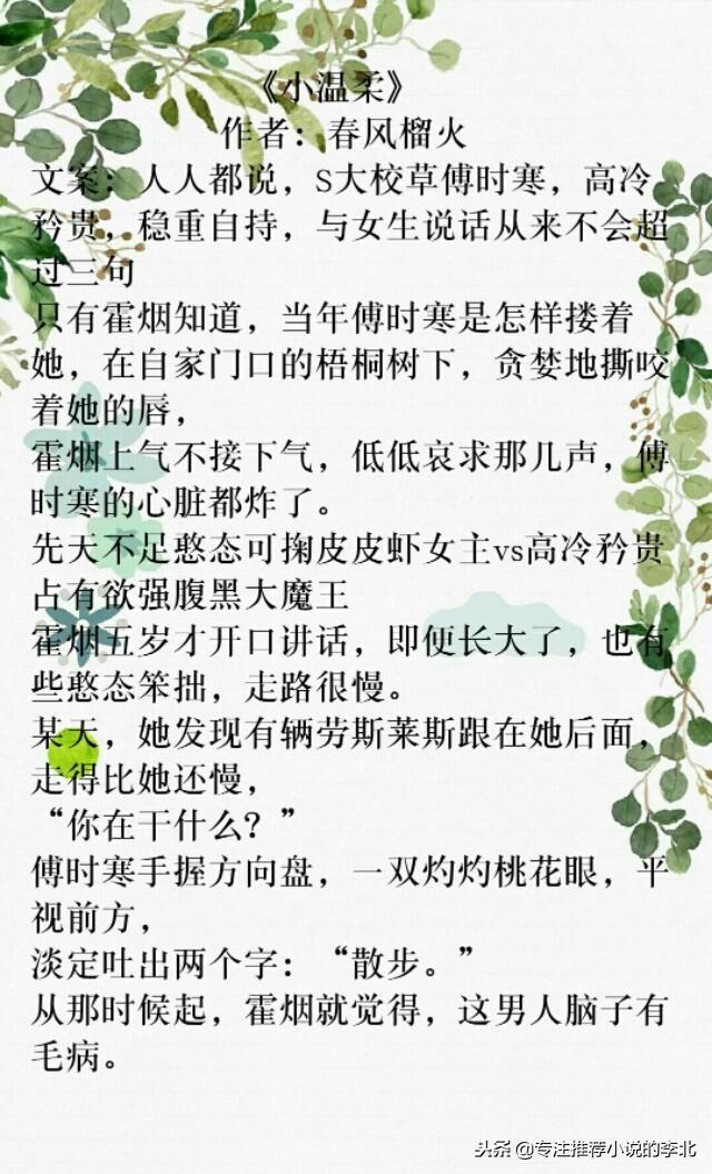 小温柔与霍烟的最新篇章