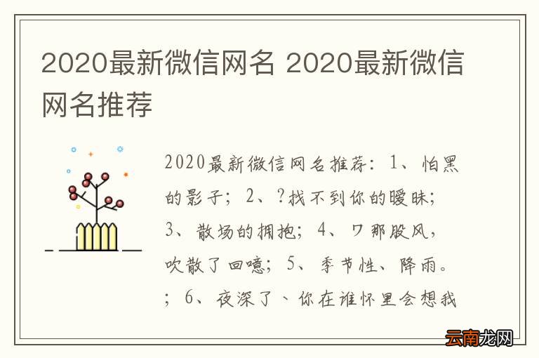 2020最新微信网名，个性与时尚的完美融合