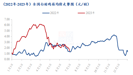 家禽产业最新动态与市场分析