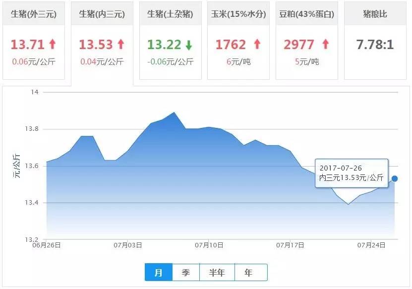 最新猪价上涨消息，市场动态与深度解析